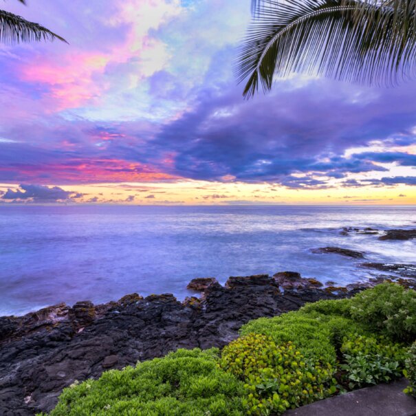 Purple Pacific sunset